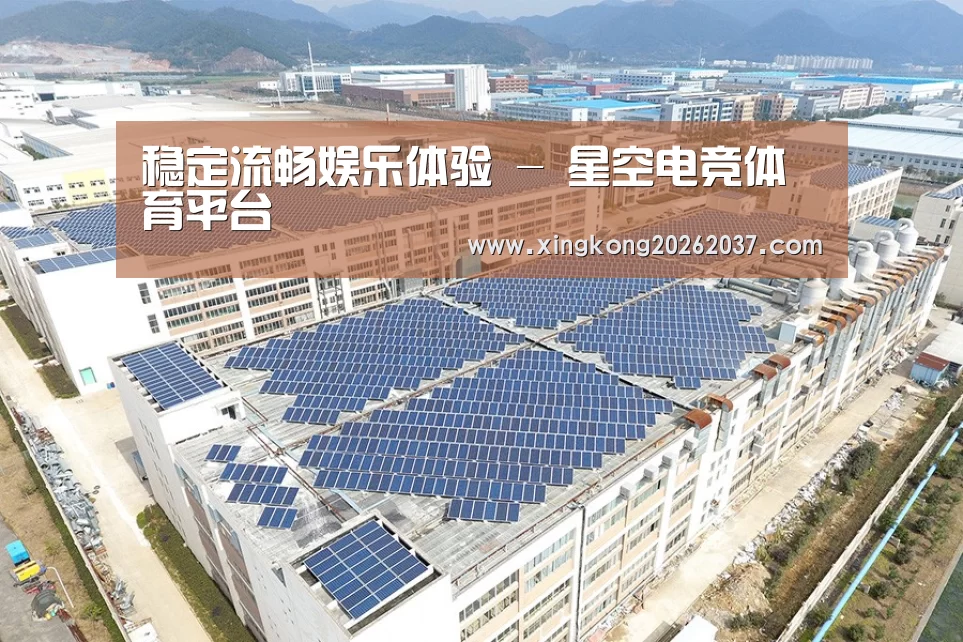 案例展示三