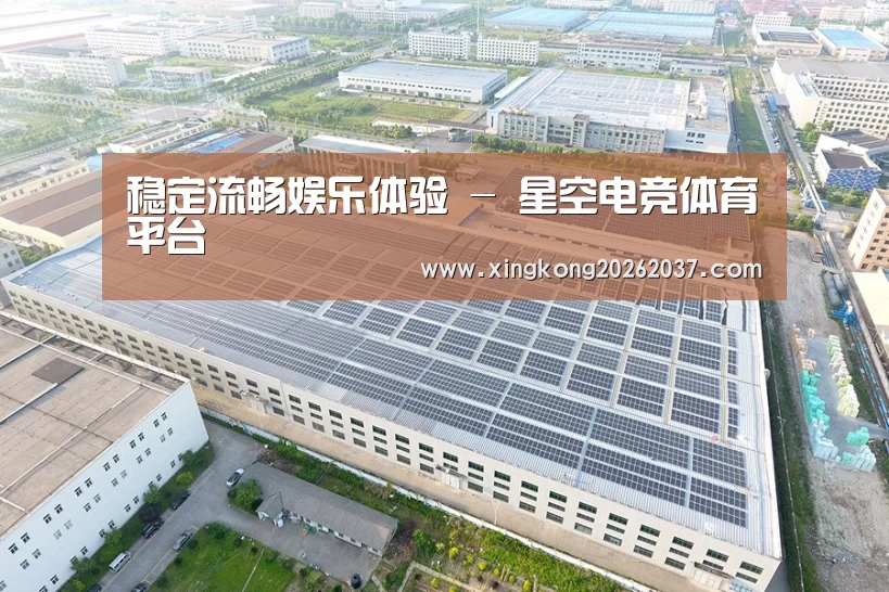 案例展示二