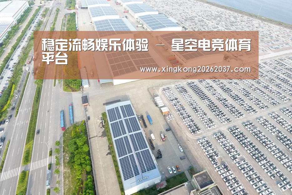 案例展示一