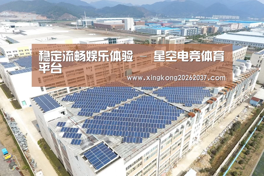 案例展示四