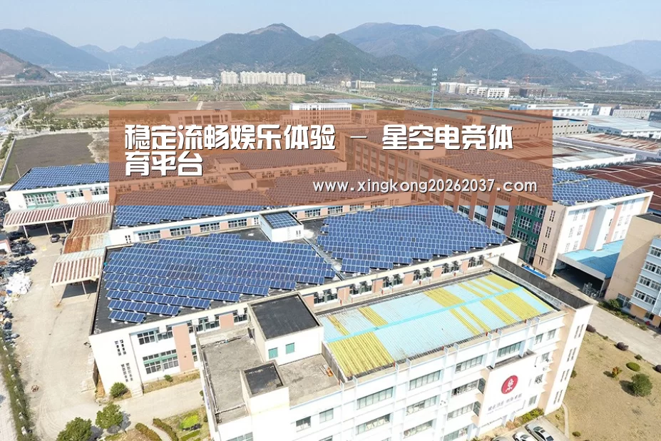 案例展示三